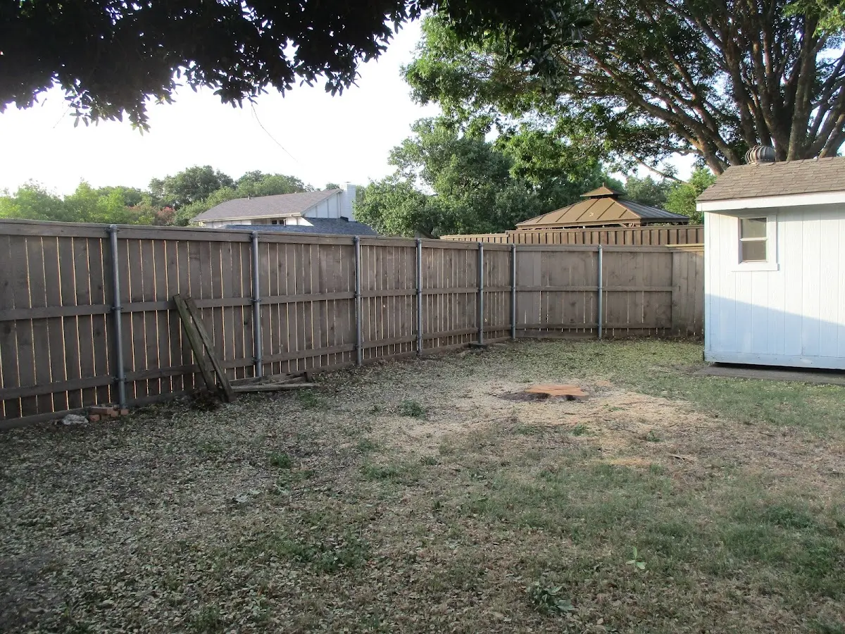 Cleared yard after professional tree removal in Greensboro