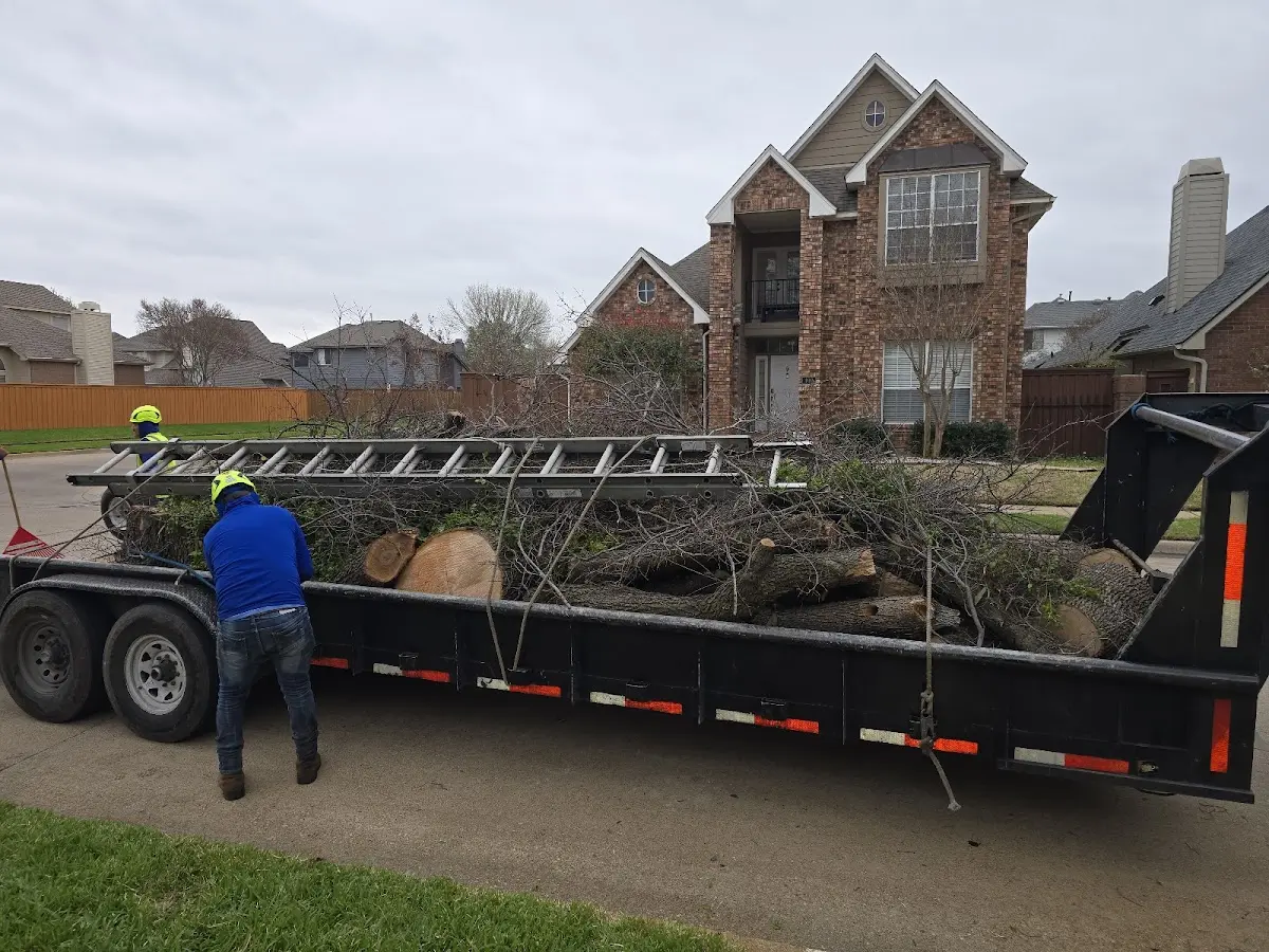 Expert Tree Removal with proper safety equipment in Greensboro